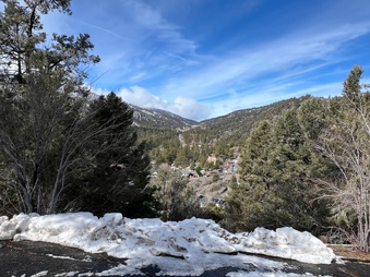 Enlarge photo 104