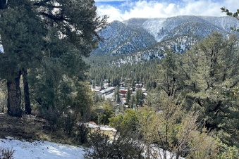 Enlarge photo 109