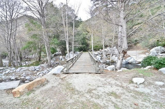 Enlarge photo 104