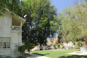 Enlarge photo 9