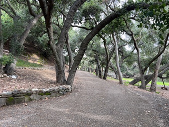 Enlarge photo 19