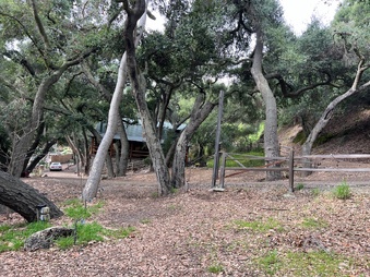 Enlarge photo 24