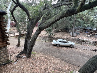 Enlarge photo 35