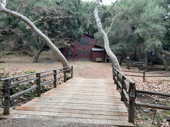 Enlarge photo 107