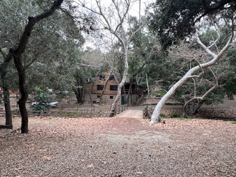 Enlarge photo 2
