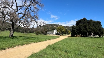 Enlarge photo 5