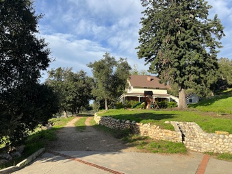 Enlarge photo 3