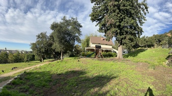 Enlarge photo 49
