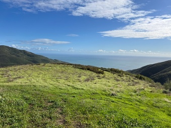 Enlarge photo 144