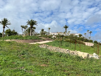 Enlarge photo 153