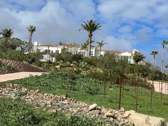 Enlarge photo 152