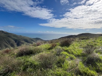 Enlarge photo 150
