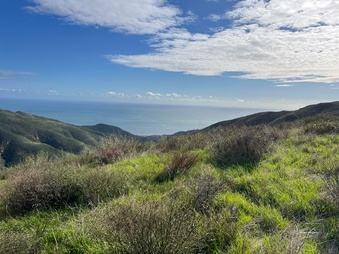 Enlarge photo 149