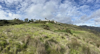 Enlarge photo 158