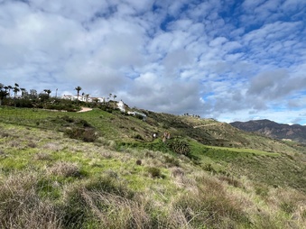 Enlarge photo 157