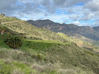 Enlarge photo 156