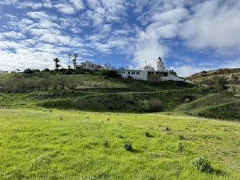 Enlarge photo 154