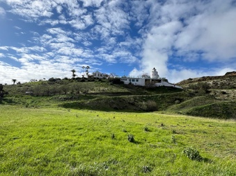 Enlarge photo 161