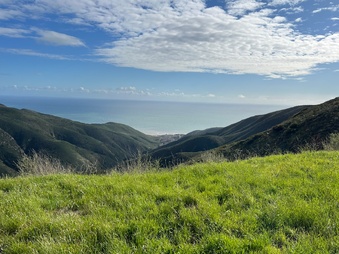 Enlarge photo 166