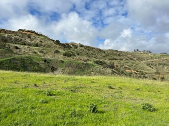 Enlarge photo 165