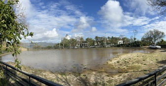Enlarge photo 179