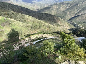 Enlarge photo 184