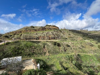 Enlarge photo 193