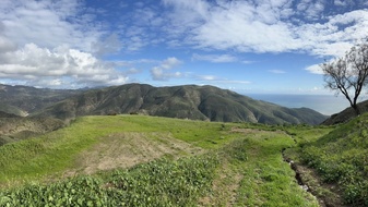 Enlarge photo 204