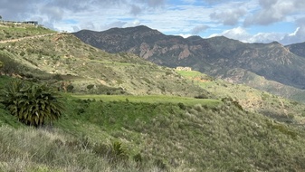 Enlarge photo 213