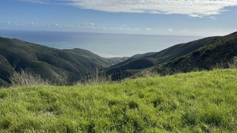 Enlarge photo 212