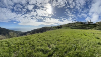 Enlarge photo 211