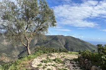 Enlarge photo 209