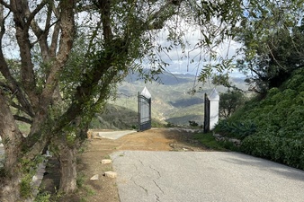 Enlarge photo 216