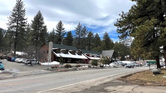 Grizzly Cafe