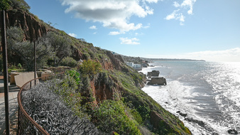 Enlarge photo 10