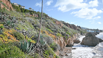 Enlarge photo 22