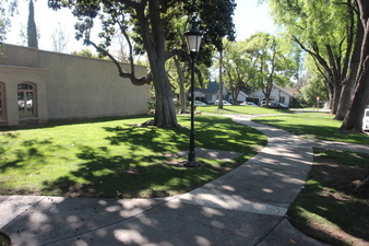 Enlarge photo 55