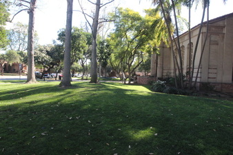 Enlarge photo 56