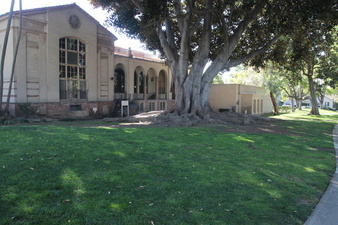 Enlarge photo 57