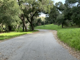 Enlarge photo 12