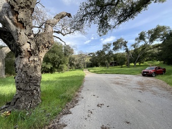 Enlarge photo 10