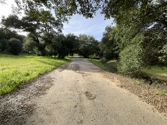 Enlarge photo 19