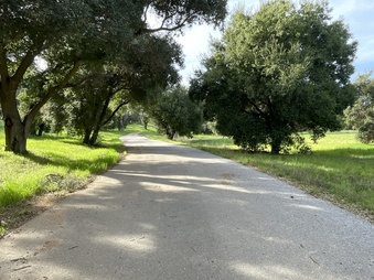 Enlarge photo 26