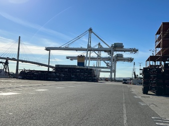 Cyprus Port