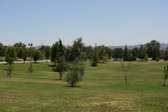 EXT. FIELD