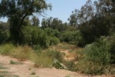 Enlarge photo 28
