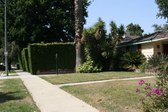 Enlarge photo 29