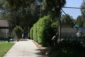 Enlarge photo 41