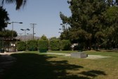 Enlarge photo 45