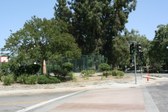 Enlarge photo 49
